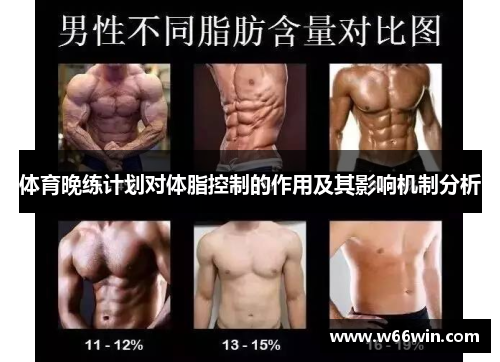 体育晚练计划对体脂控制的作用及其影响机制分析